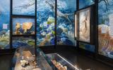 Ausstellungsansicht MEK